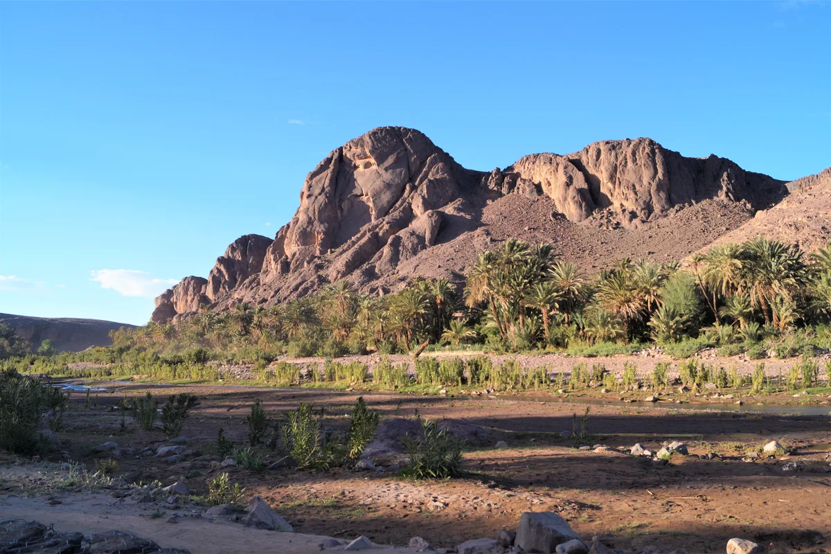 Fint Oasis Morocco palm groves surrounded by rocky hills near Ouarzazate